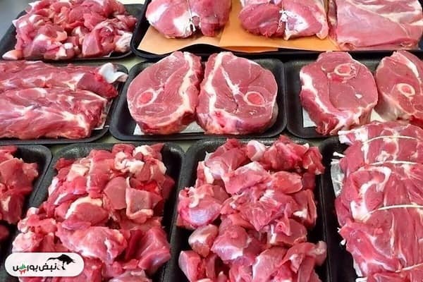 تصویر 2 از قیمت خرید گوشت ماهیچه گوسفندی با فروش عمده